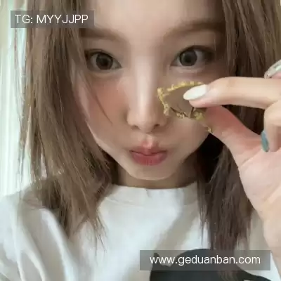 许禄仲